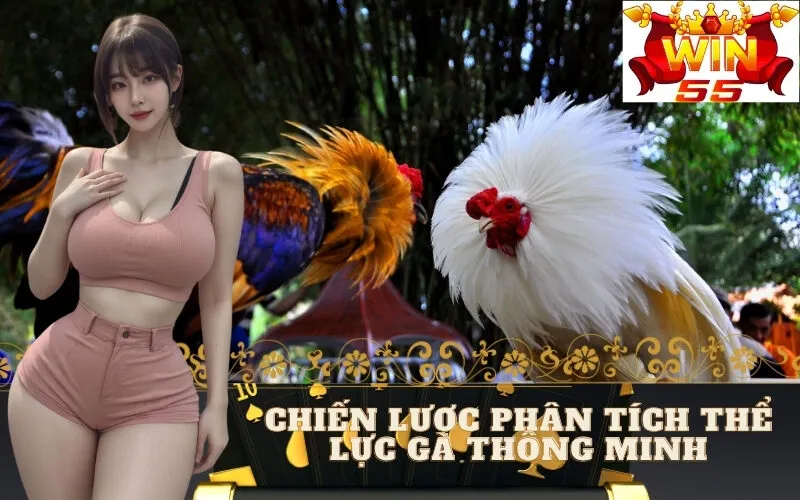 Chiến Lược Phân Tích Thể Lực Gà Thông Minh