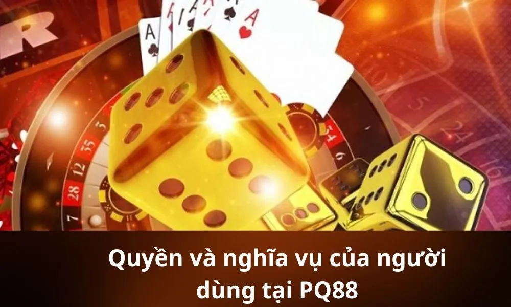 Quyền và nghĩa vụ của người dùng tại PQ88