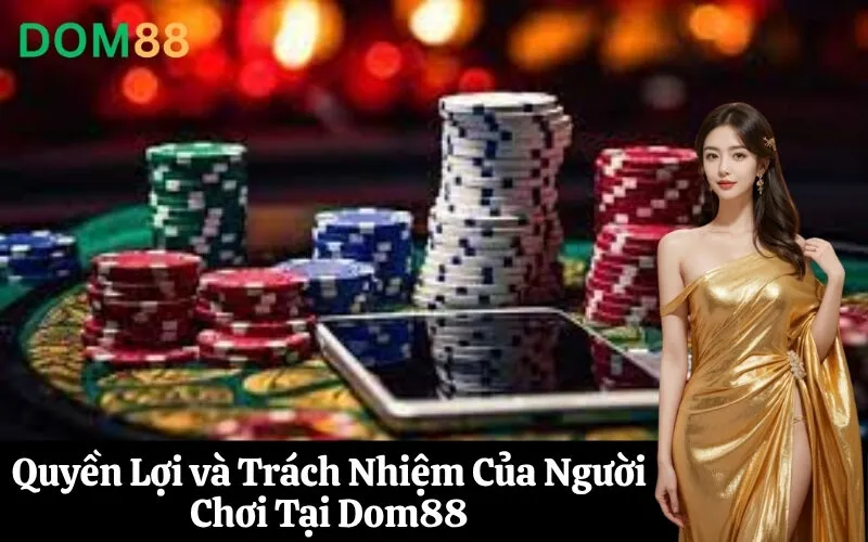 Quyền Lợi và Trách Nhiệm Của Người Chơi Tại Dom88
