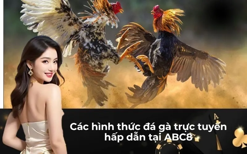 Các hình thức đá gà trực tuyến hấp dẫn tại ABC8